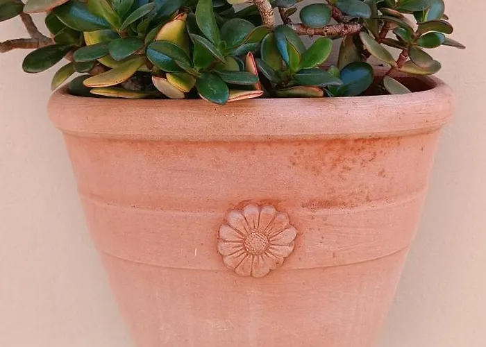 Boschini Loft Life Ханья