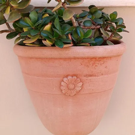 Boschini Loft Life خانيا